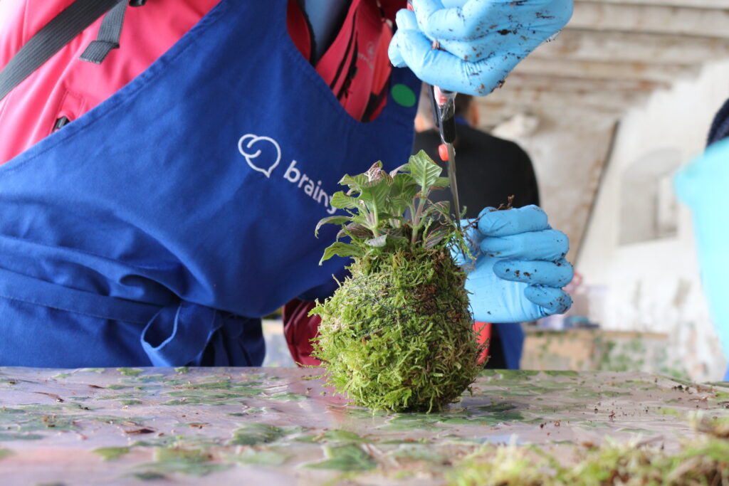 Laboratorio di kokedama con brainy ETS